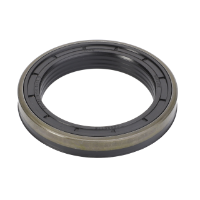 Shaft Seal F930301020100